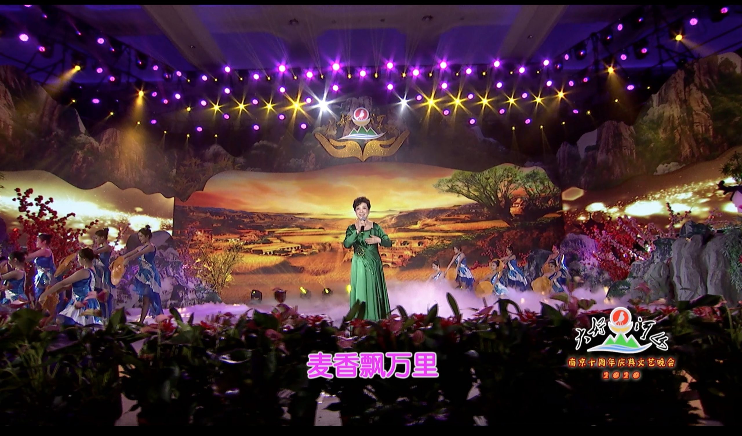 2020大好河山南京十周年庆典公益晚会 歌曲《双脚踏上幸福路》王馥荔