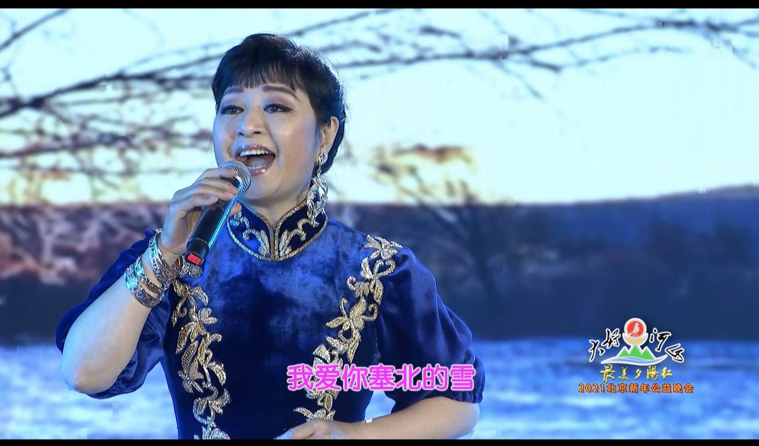 2021北京新年公益晚会 歌曲《我爱你塞北的雪》殷秀梅